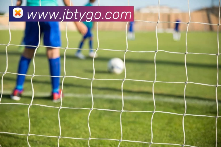 竞博体育发展历程